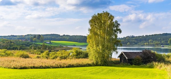 Сельский пейзаж панорама