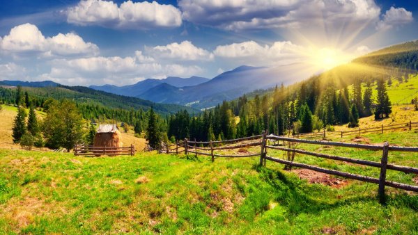 Деревенская природа