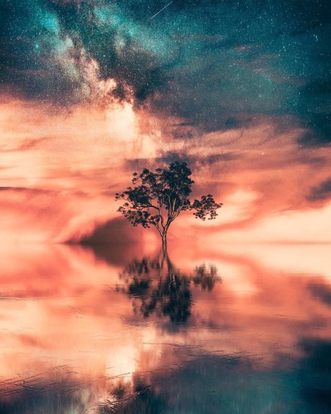 Аватарка природа