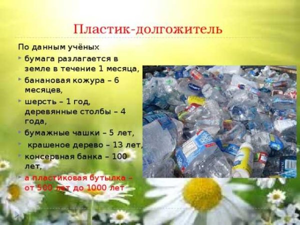 Вред пластиковых бутылок