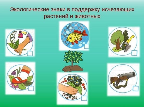 Природоохранные знаки для детей в картинках