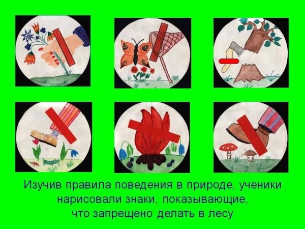 Рисование экологических знаков
