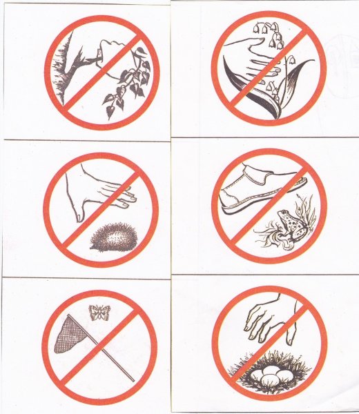 Знаки природы для детей