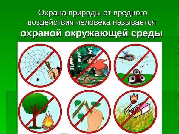 Знаки природы
