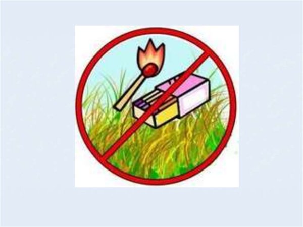 Запрещающие знаки в природе