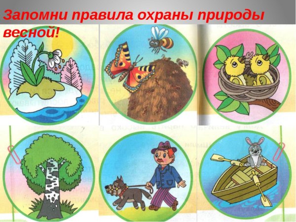 Экологические знаки по охране природы