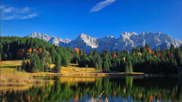 Бавария Альпы лес