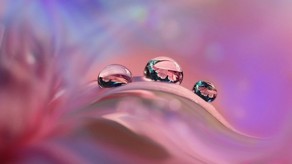 Живая природа водопады