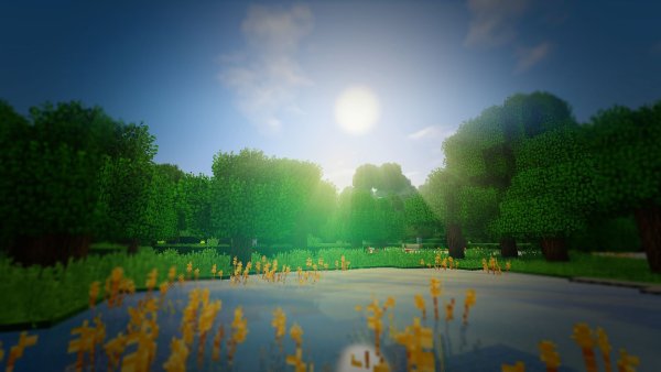 C418 Clark