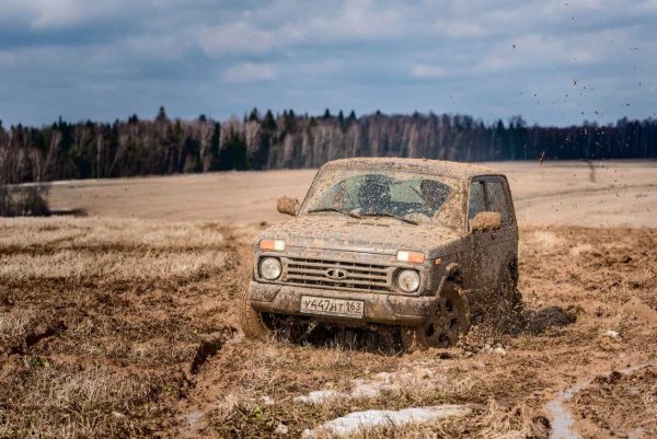 Зреет рожь над жаркой Нивой Фет
