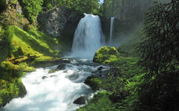 Лесной водопад