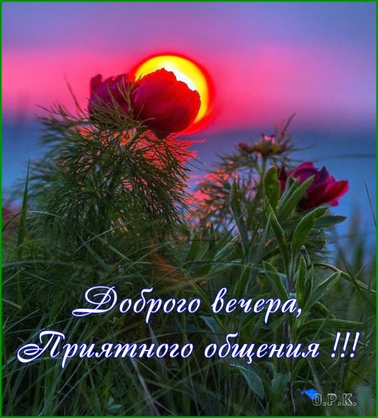 Спокойной ночи