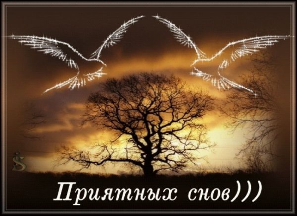 Спокойной ночи приятных снов