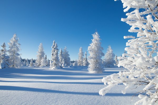 Снежная зима