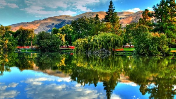 537x240 природа