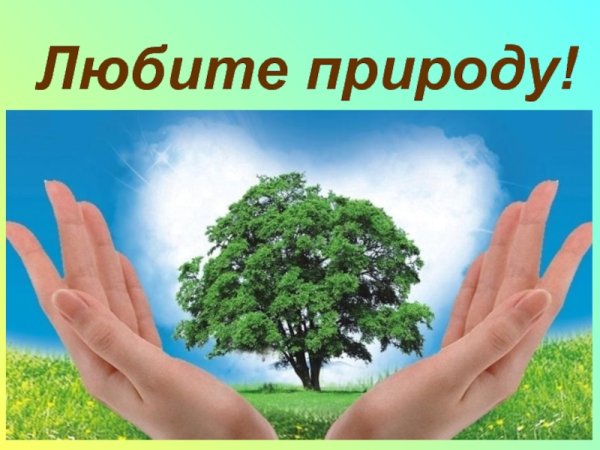 Экология берегите природу