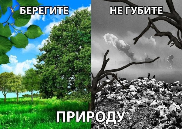 Берегите природу