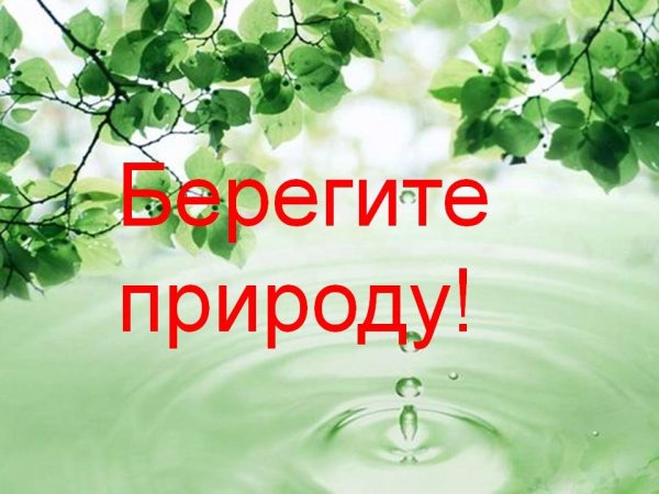 Экология для дошкольников