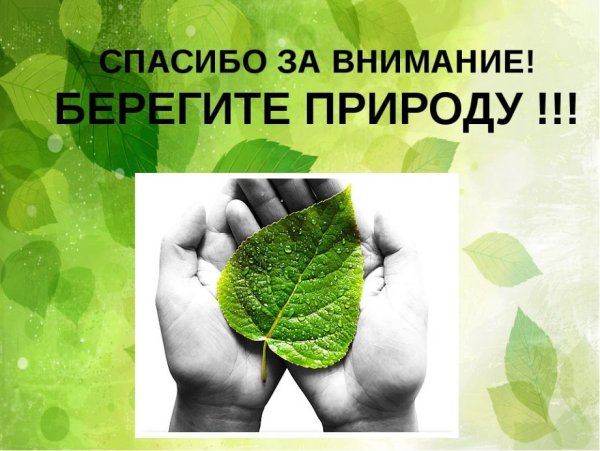 Лозунги про экологию