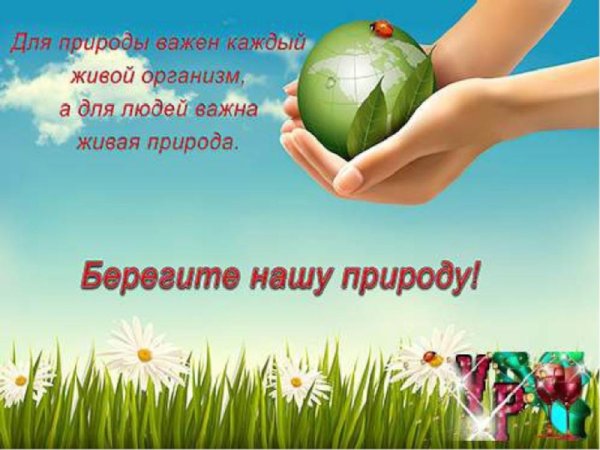 Любите и берегите природу