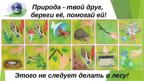 Стихи беречь природу для детей
