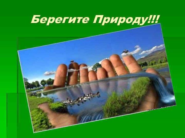 Берегите природу