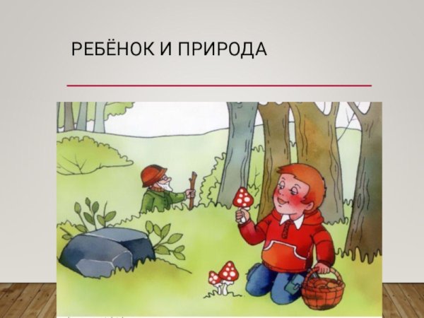Опасные ситуации в природе