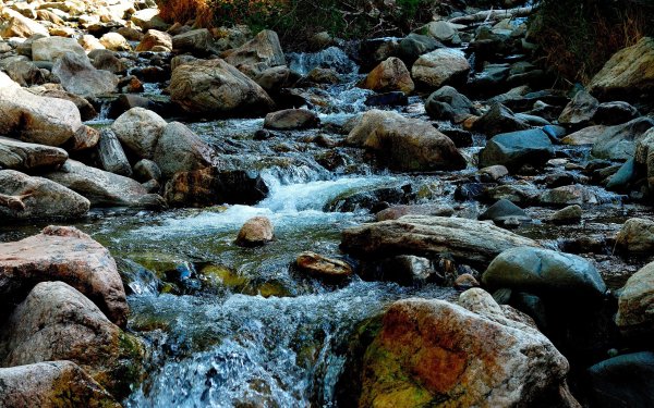 Неживая природа камни