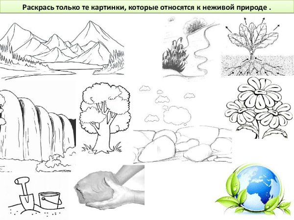 Красота неживой природы