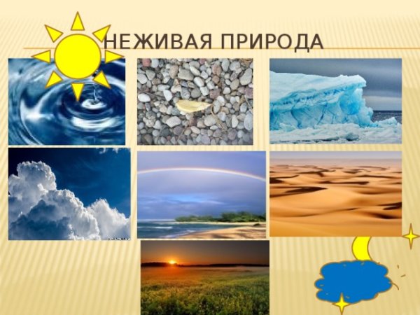 Неживая природа