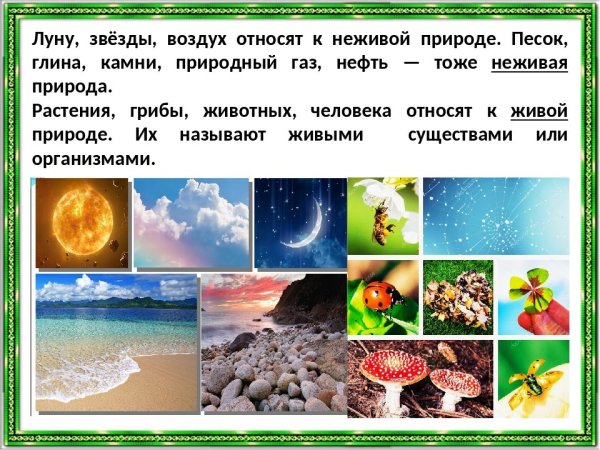 Неживая природа