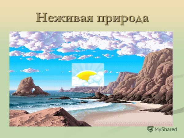 Неживая природа