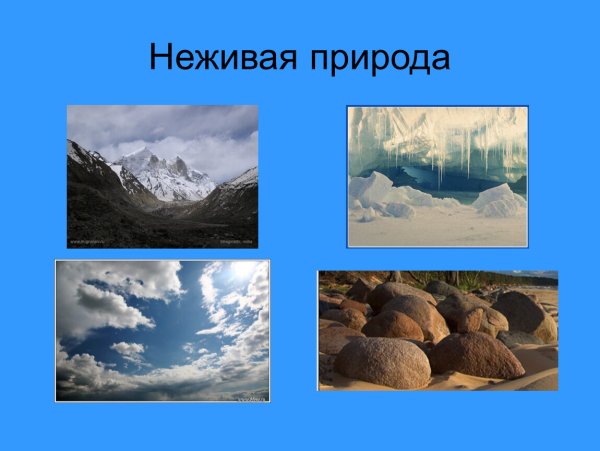 Опыты с объектами неживой природы
