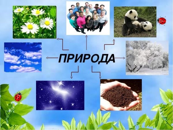 Круговорот воды в природе картинки для детей