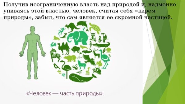 Планета друзей