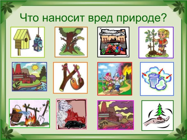 Как спасти природу
