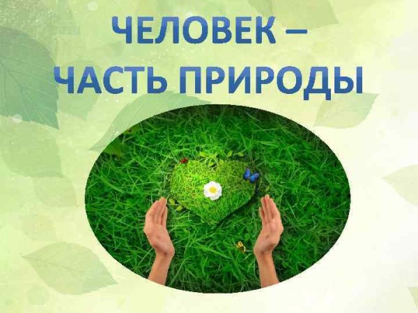 Взаимосвязь между природой и человеком