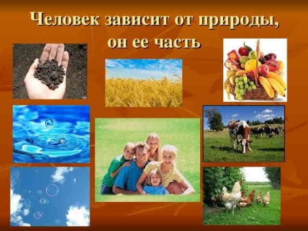 Наш общий дом земля