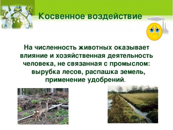 Косвенное влияние на природу