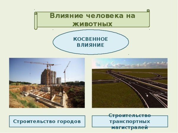 Влияние человека на природу картинки