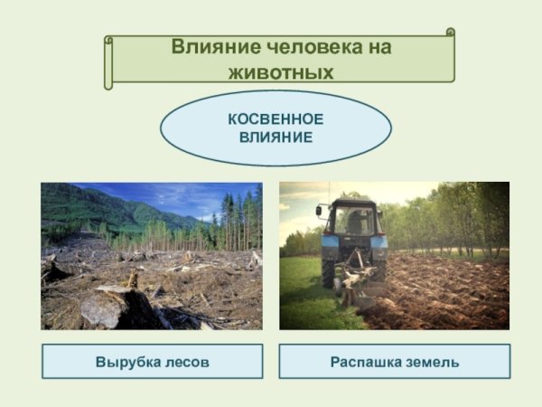 Воздействие человека на природу