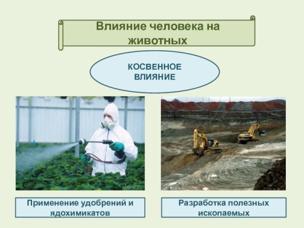 Косвенное воздействие на человека