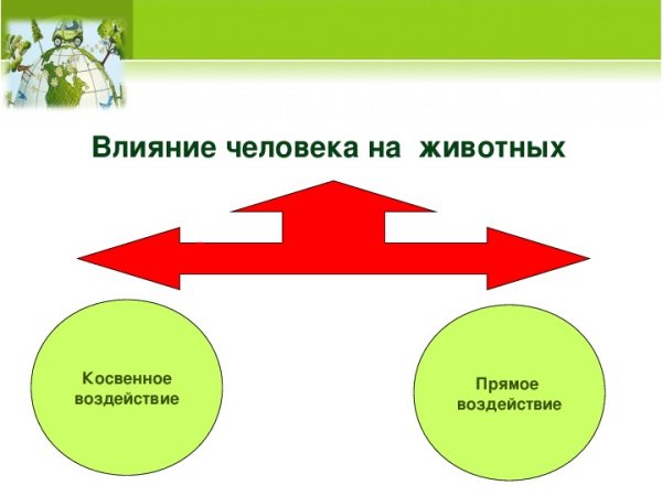 Влияние человекатна прирду