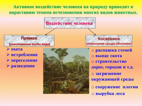 Прямое и косвенное воздействие человека на животных