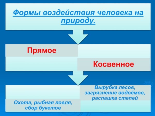 Прямое и косвенное влияние