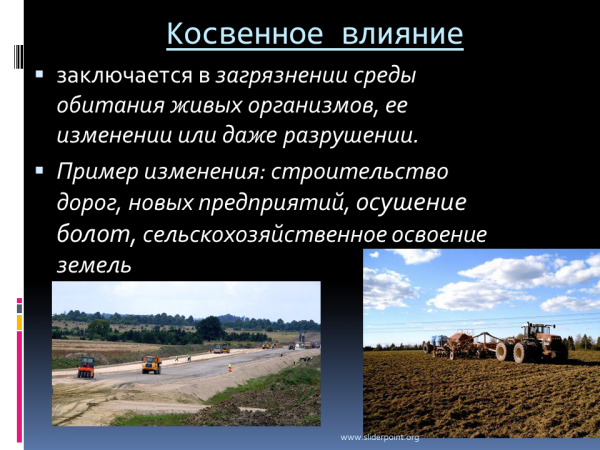 Положительное воздействие человека на природу