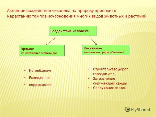 Антропогенные факторы