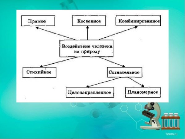 Прямое и косвенное воздействие человека на животных
