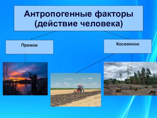 Воздействие человека на природу