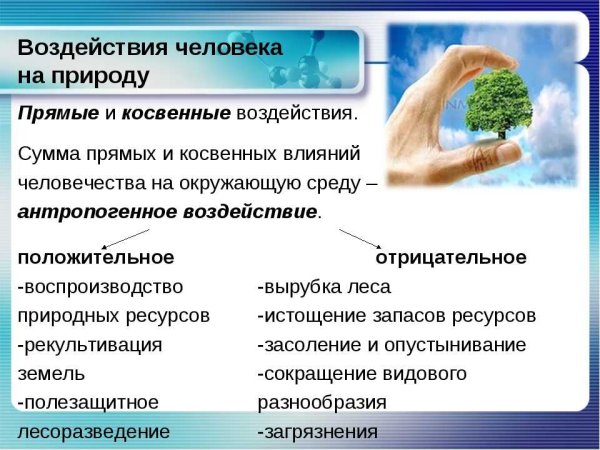 Прямое воздействие человека на животных